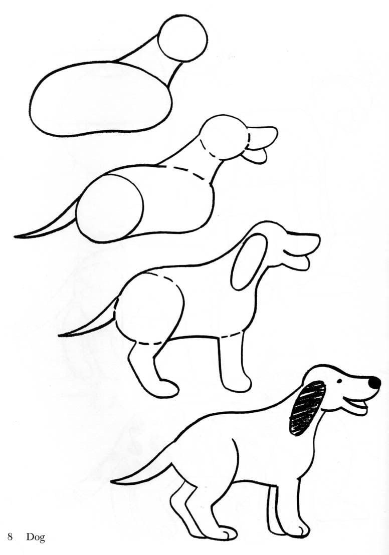 Рисунки животных карандашом для начинающих