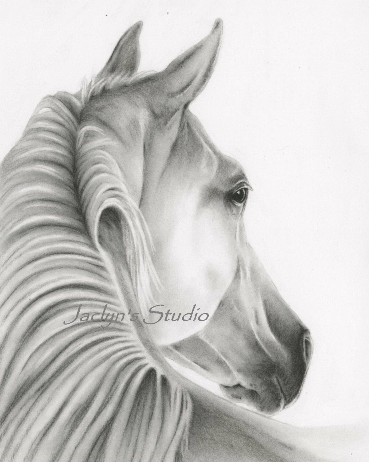 Лошадь рисунок карандашом легкий