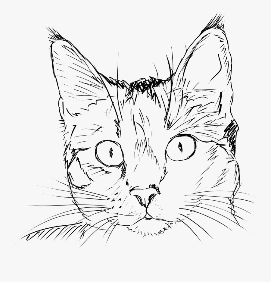 Морда кота рисунок - 59 фото