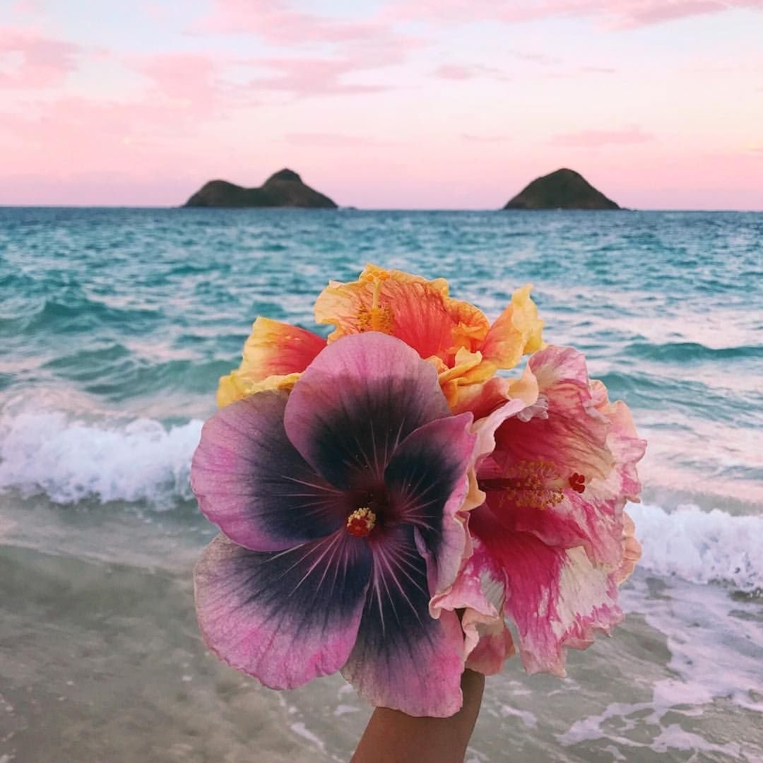 Tropical color. Гибискус тропики Гавайи. Букет тропических цветов. Гавайские цветы. Гавайский букет.