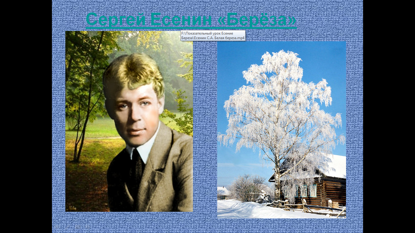 Есенин береза