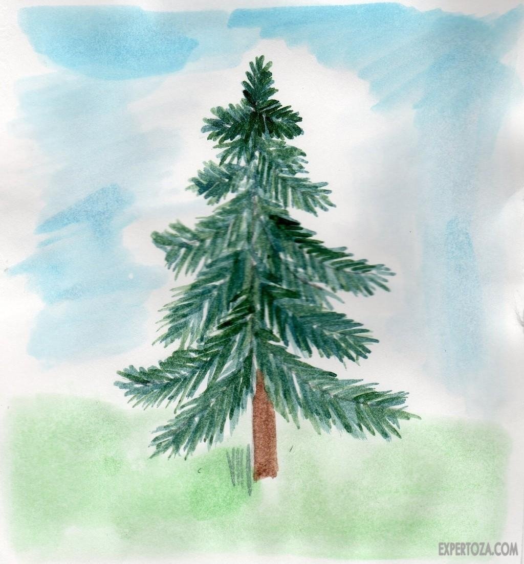Поэтапное рисование елки