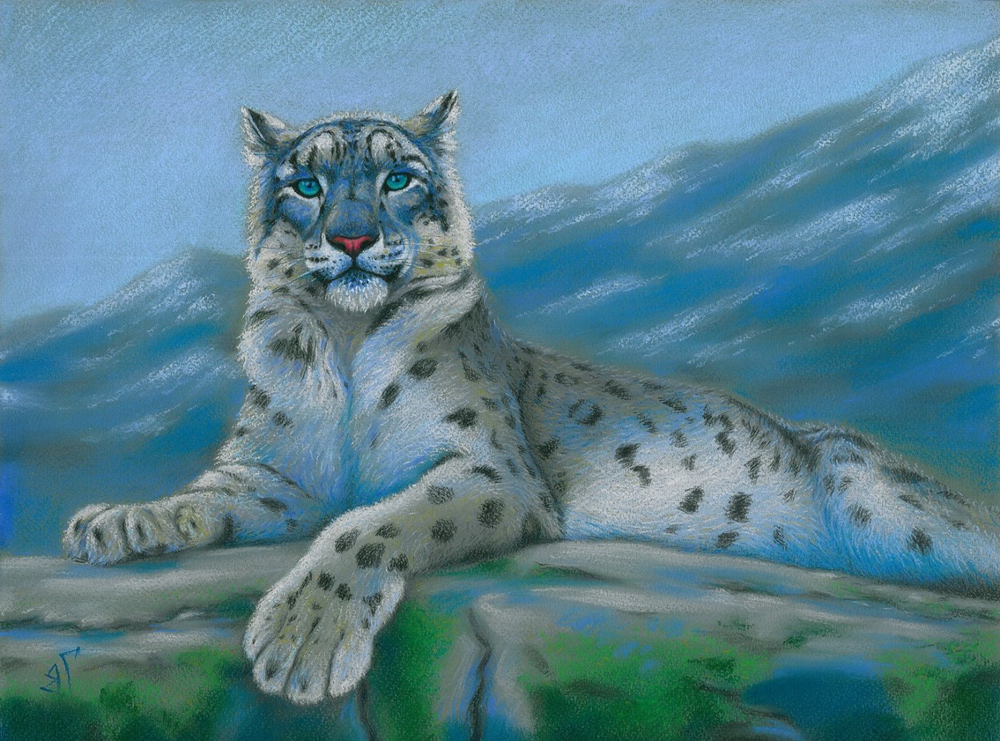 Барс детский. Ирбис снежный Барс срисовки. Снежный Барс леопард Snow Leopard Ирбис. Пластилинография снежный Барс. Снежный Барс Ирбис рисунок.