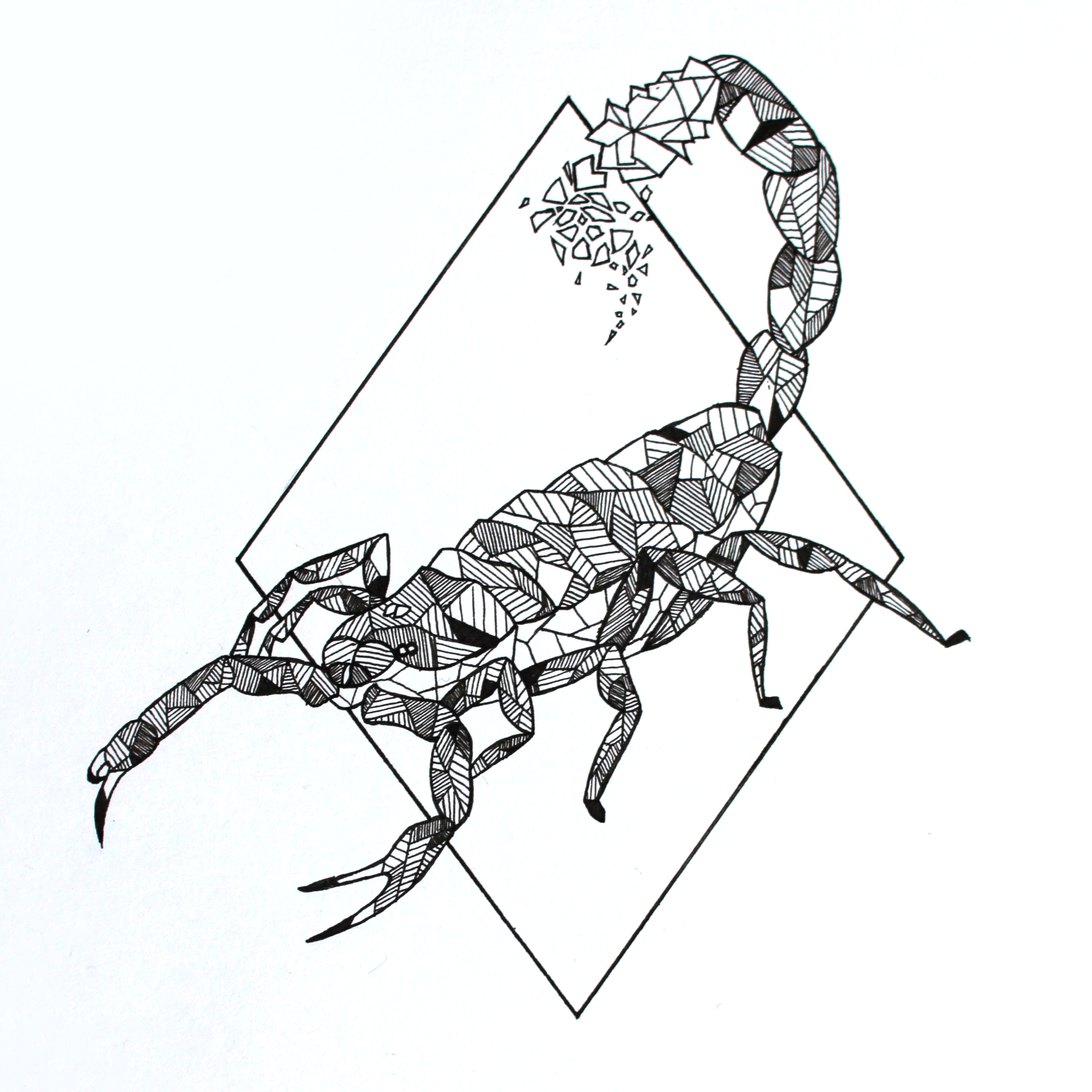 Какой тип характерен для азиатского скорпиона. Скорпион эскиз. Стилизованный Скорпион. Скорпион тату эскиз. Геометрический Скорпион.