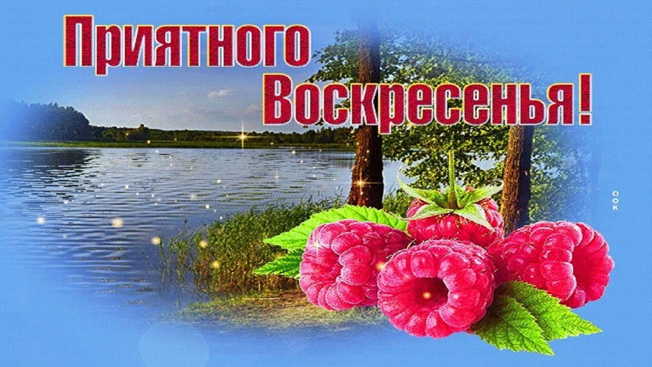 Под воскресный день. Открытки приятного воскресенья. Пожелания с добрым воскресным утром. Удачного воскресного дня и хорошего настроения. Отличного воскресного дня.