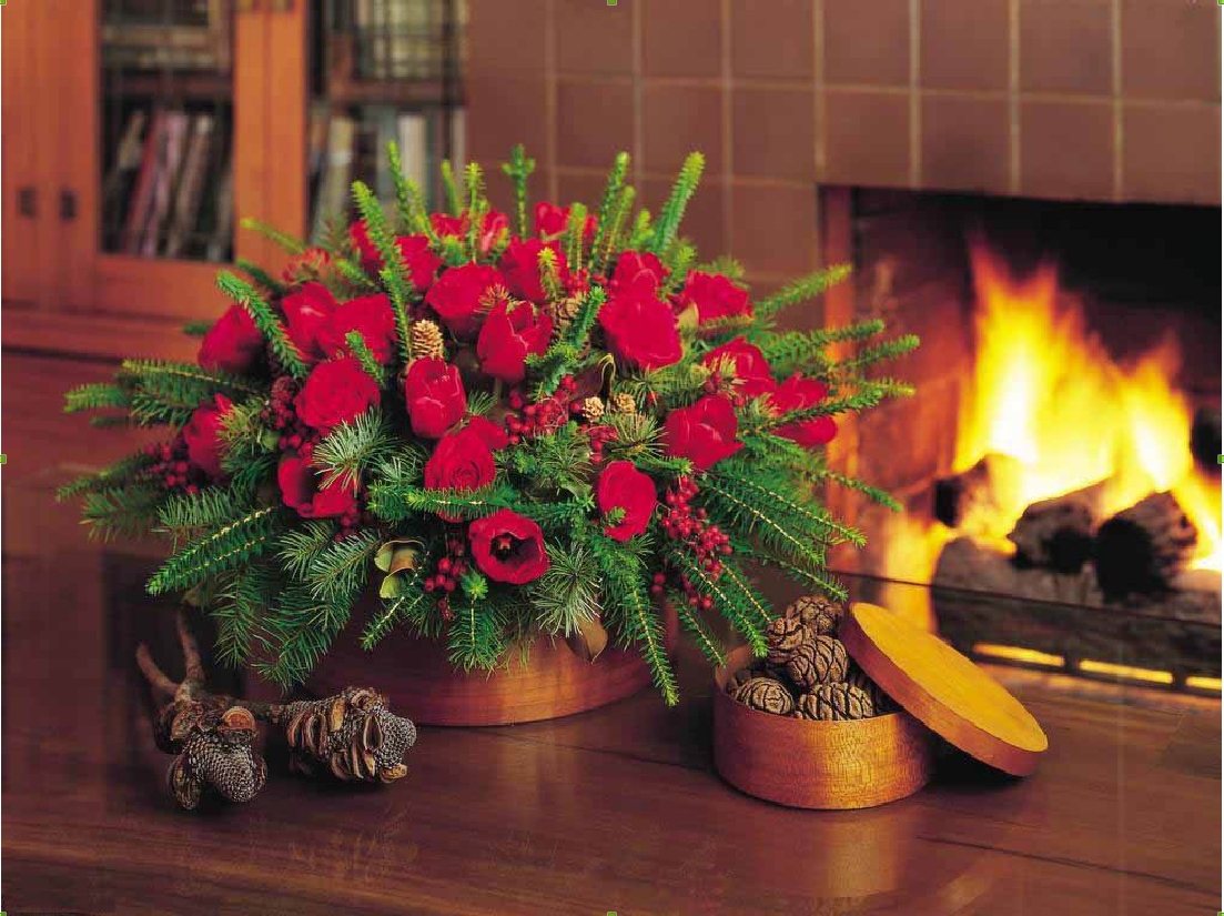 День домашнего тепла и уюта. Новогодние цветы. Новогодний букет. Новогодний камин. Рождественский букет цветов.