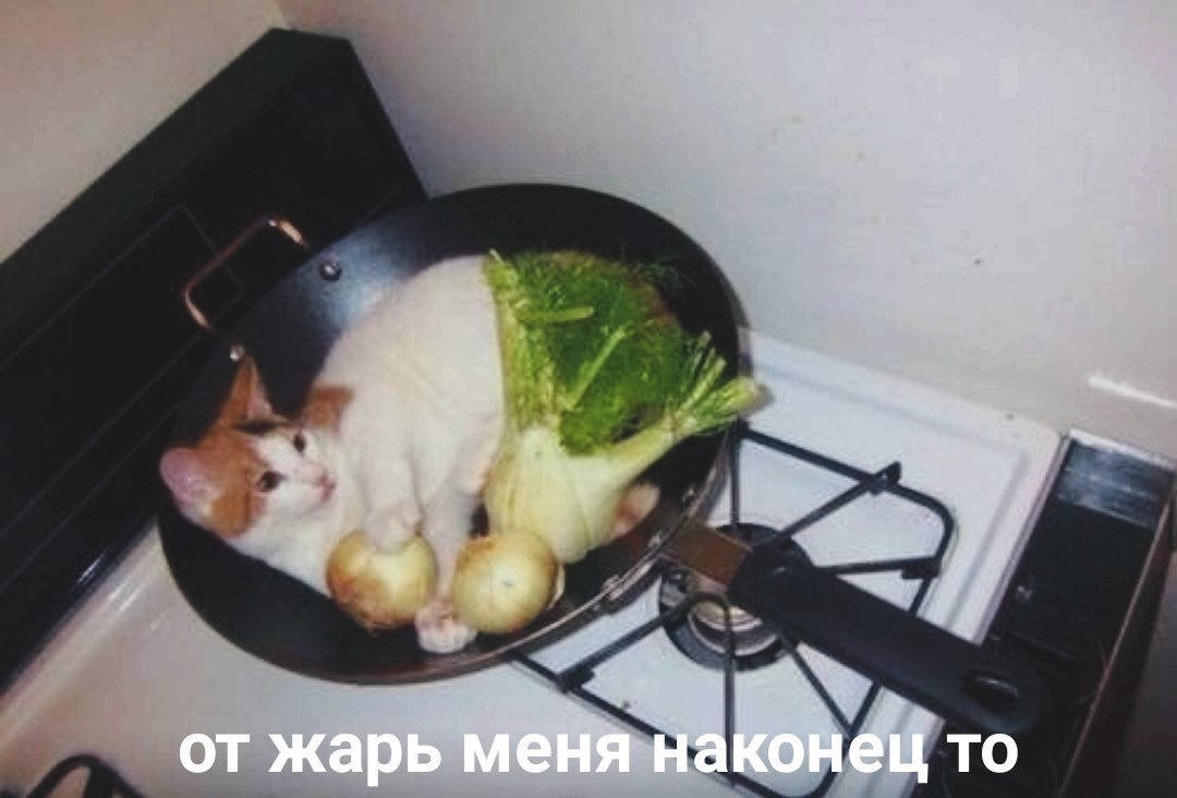 Кот на сковородке