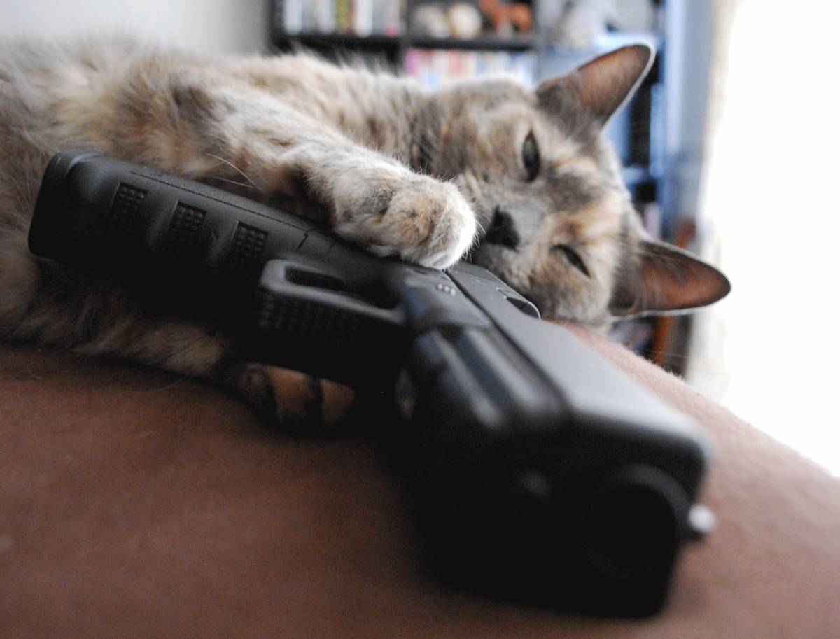 Кот угрожает. Коты с оружием. Кот с пистолетом. Котенок с пистолетом. Котик с автоматом.