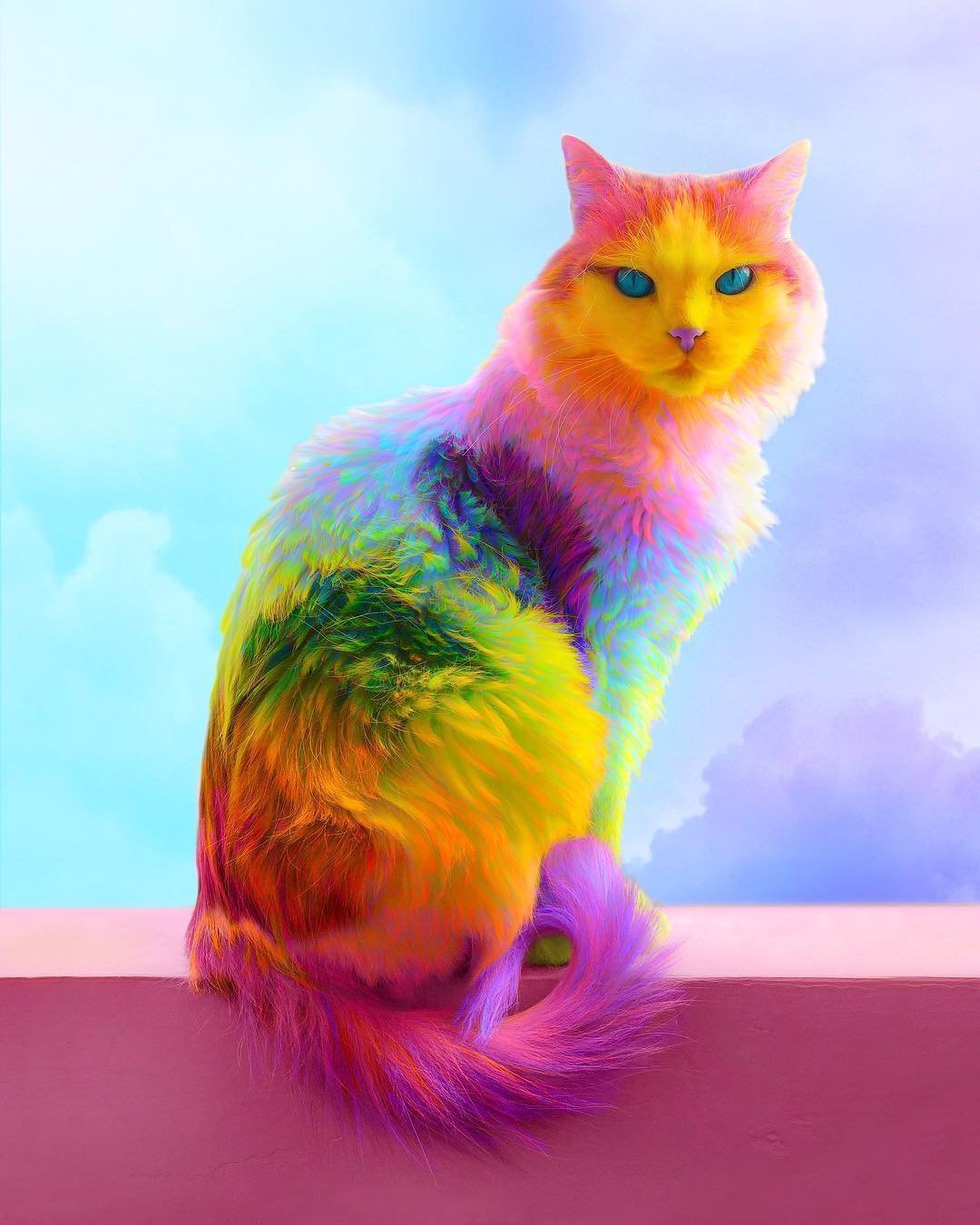 Цветные котята - 74 фото