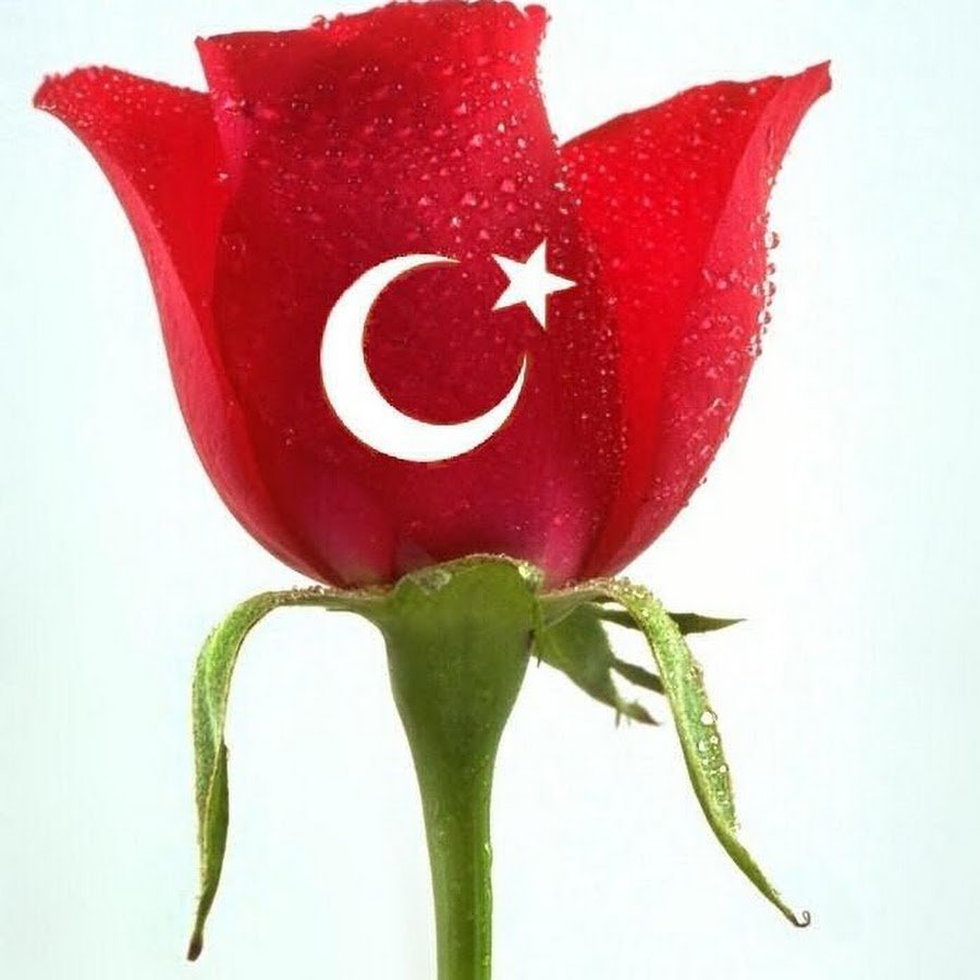 о любви на турецком языке