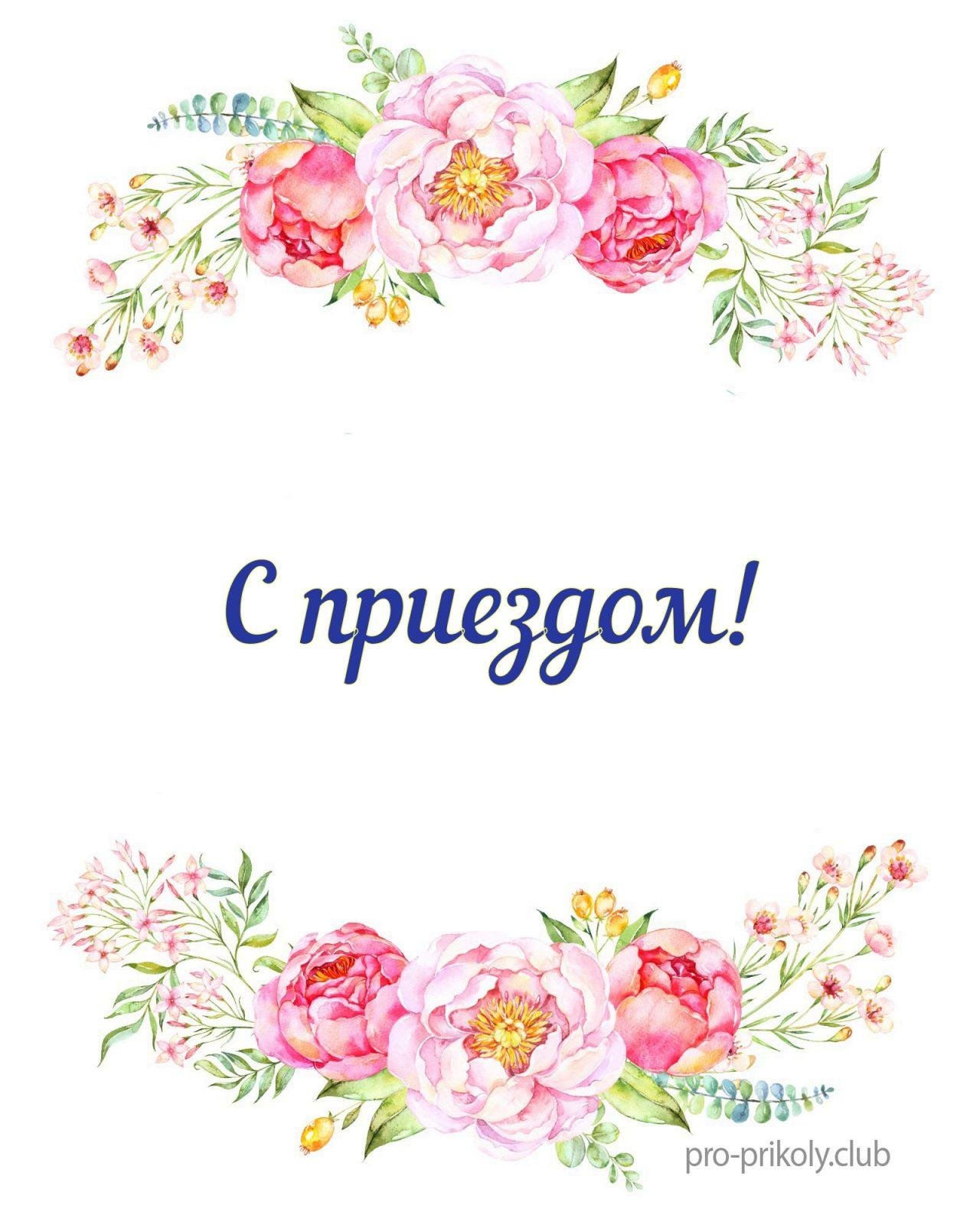 плакат с приездом любимый — 25 рекомендаций на garant-artem.ru