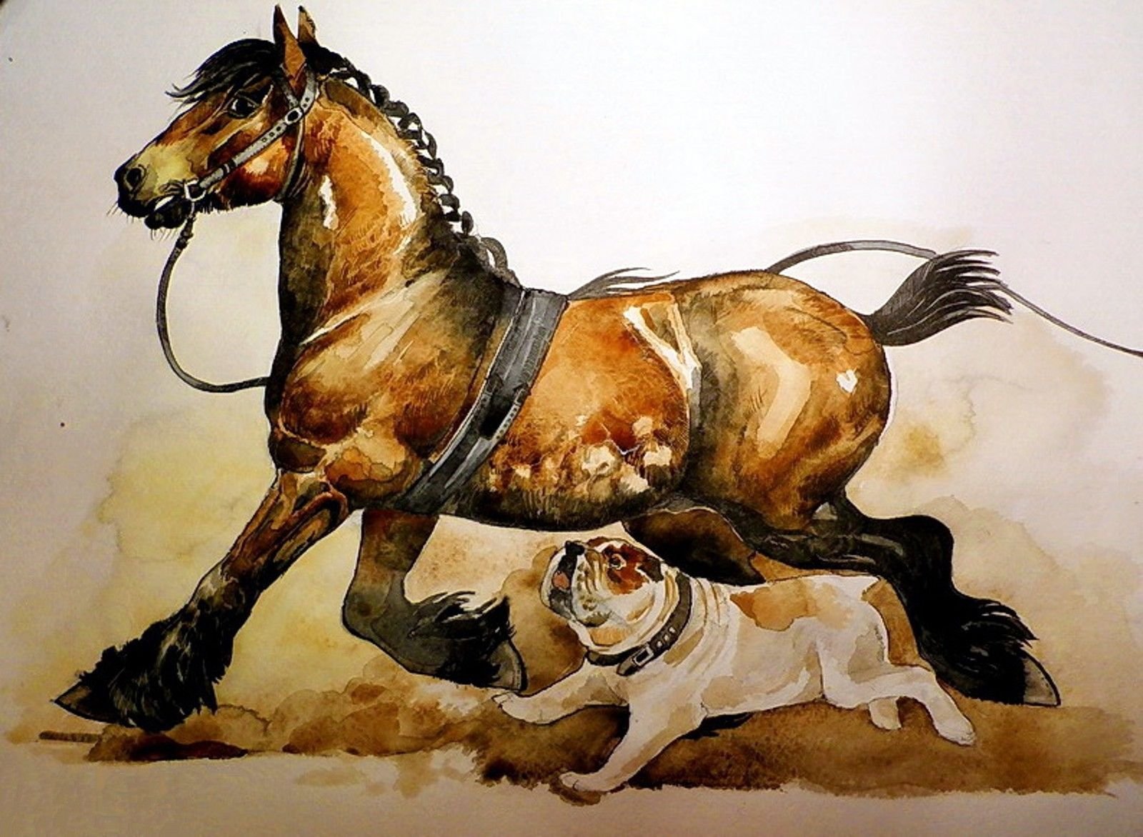 Наездник на собаке. Лошадь акварелью. Лошадь рисунок. Картина лошади. Лошади в искусстве.
