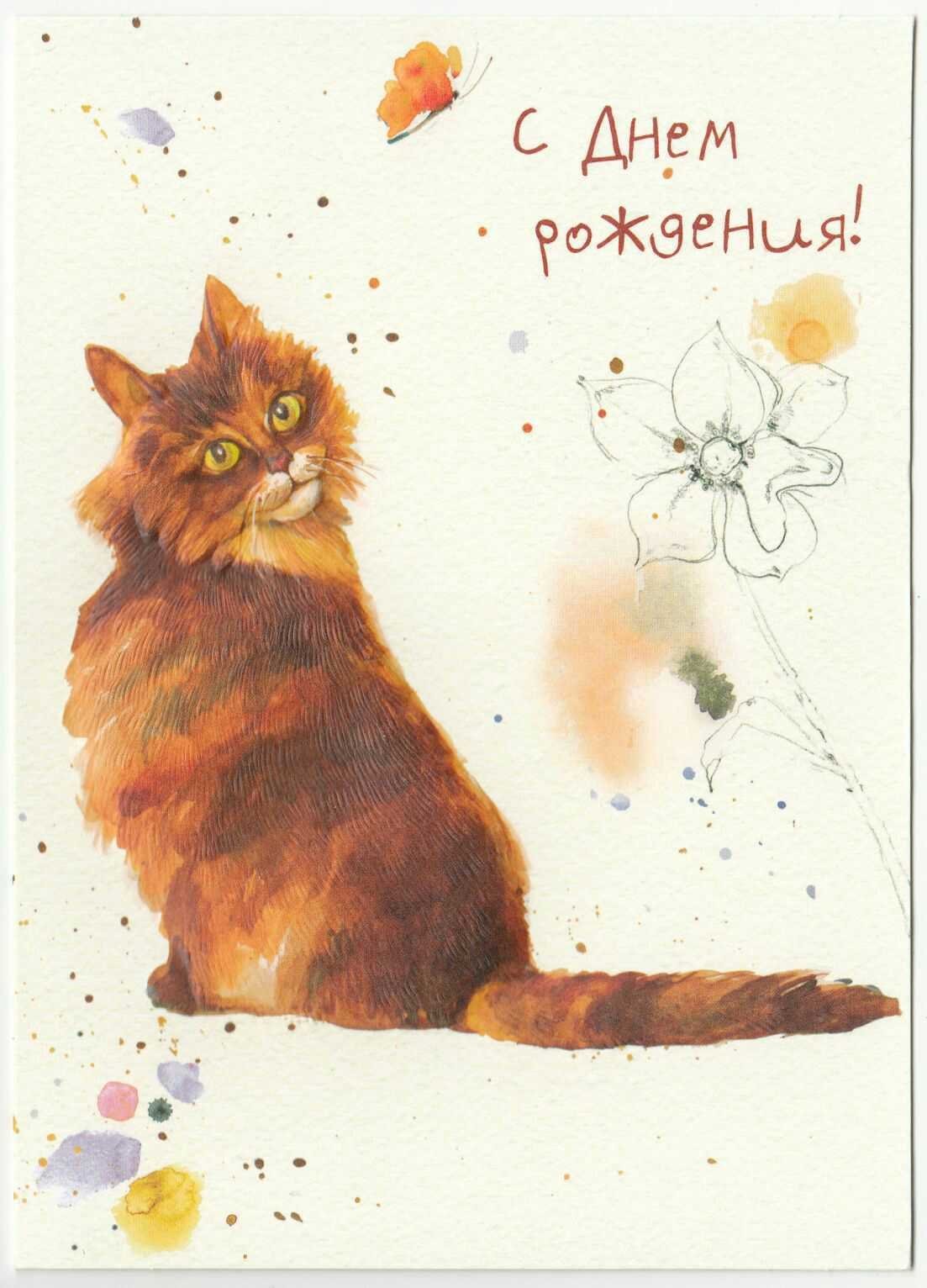 День рождения кошки: векторные изображения и иллюстрации, которые можно скачать бесплатно | Freepik