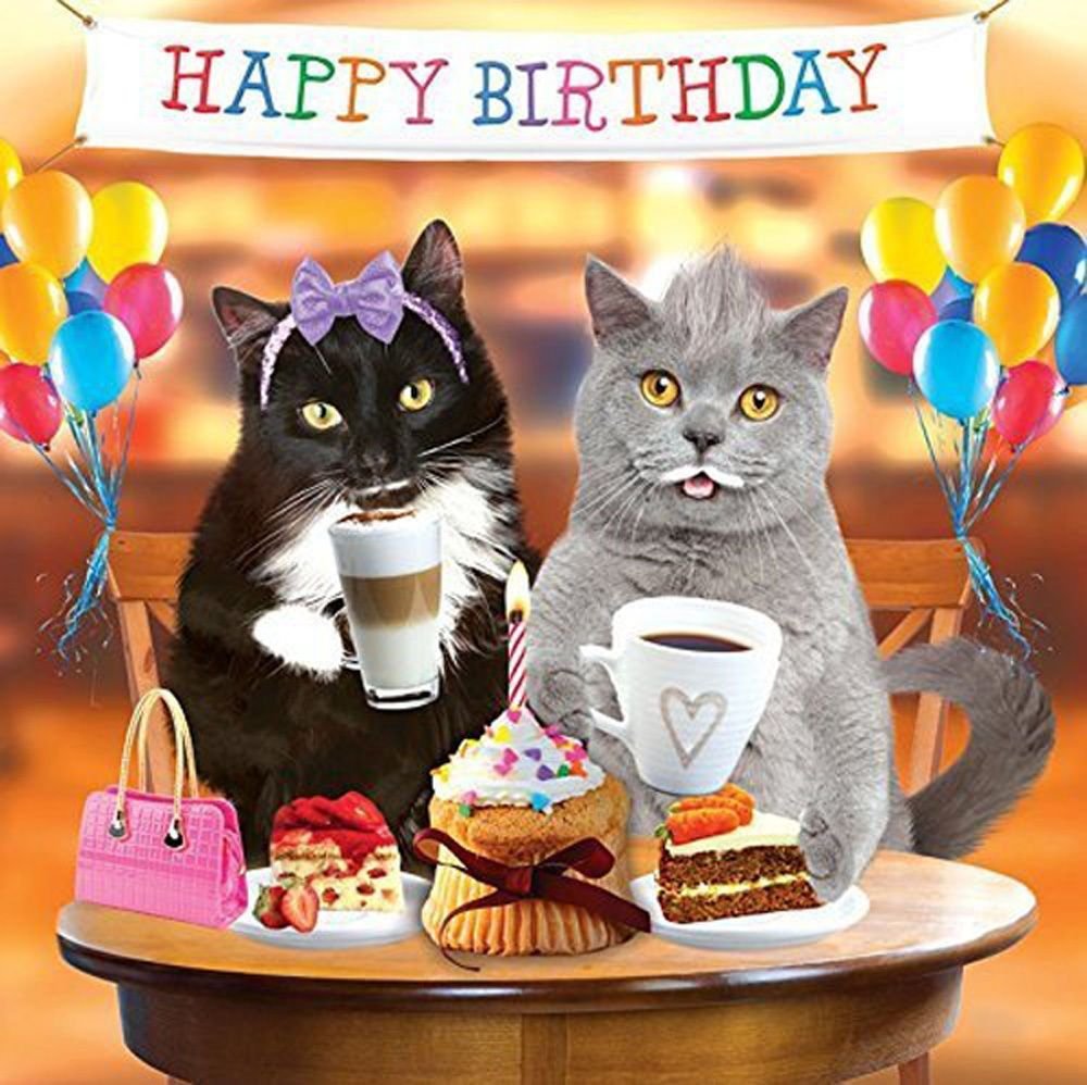 День рождения кота песня. С днём рождения с котиками. Котик поздравляет с днем рождения. Поздравление с днем рождения коты. Поздравления с днем рождения с кошками.