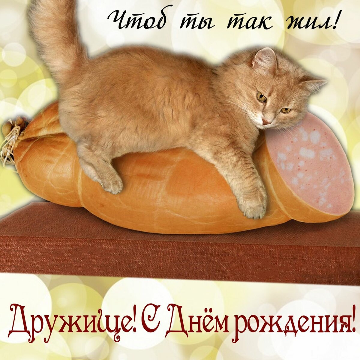Смешные открытки с котами «С Днем рождения» (40 картинок)