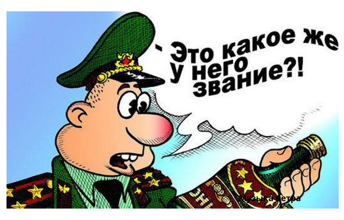 День рождения отмечает депутат ЗСК Юлия Пархоменко