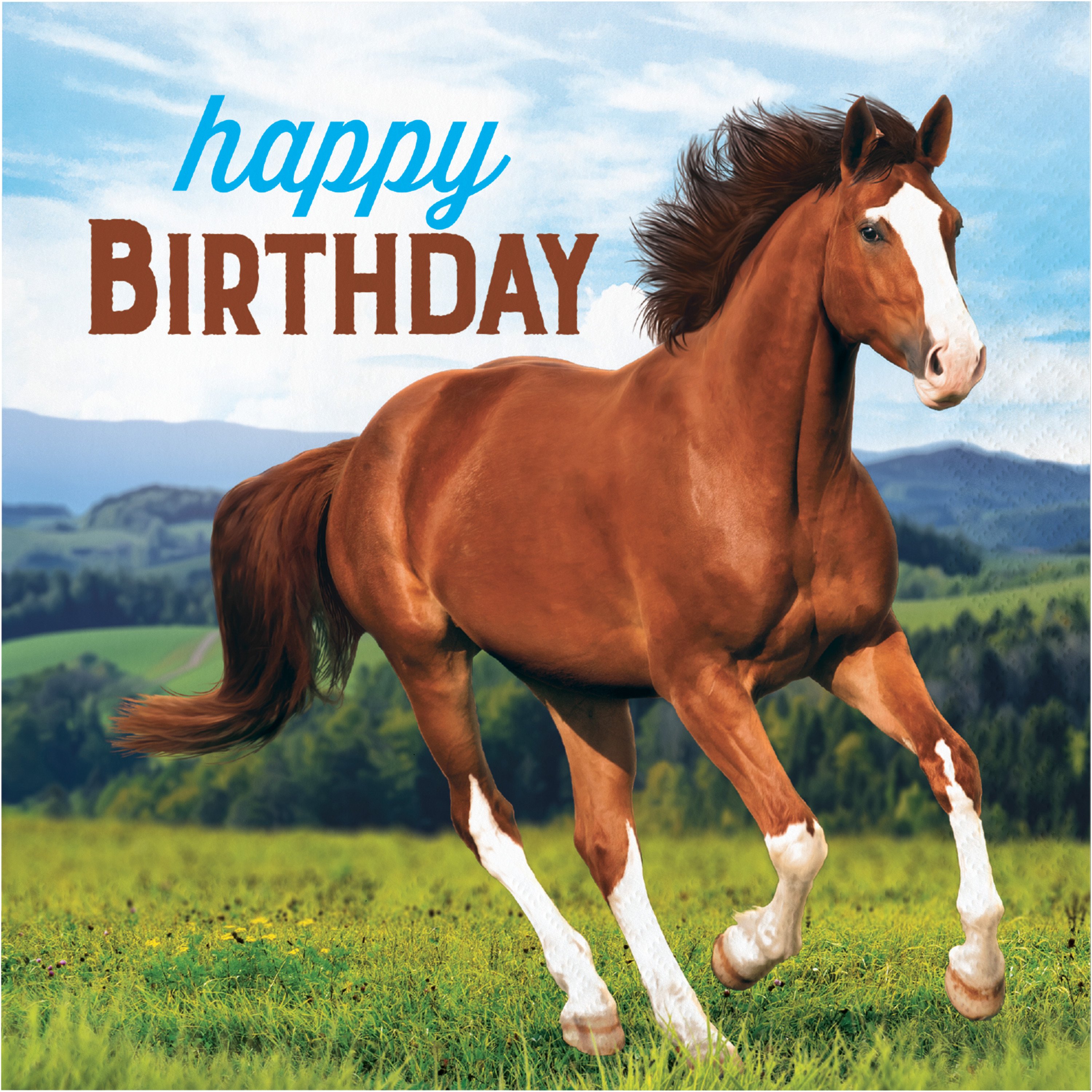 Рождение лошадки. Коричневая лошадь. Открытки с изображением лошадей. Открытка с днём рождения с лошадью.
