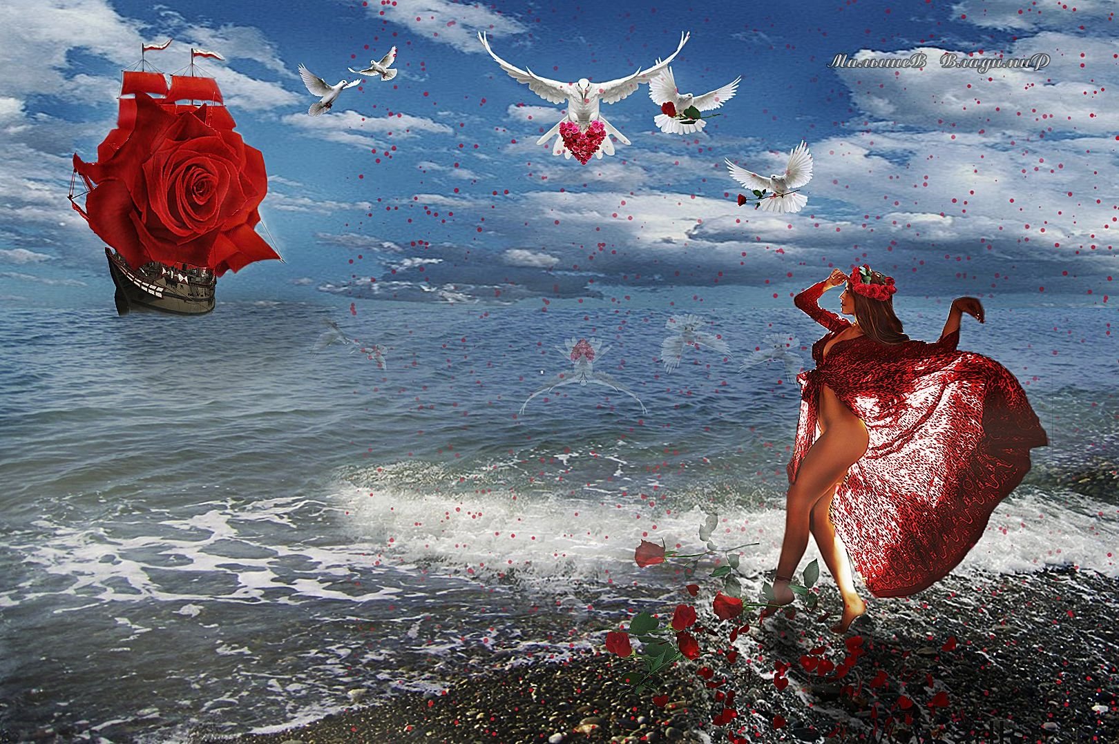 Алый вдруг. Море счастья океан любви. Море цветов. Море цветов и любви.