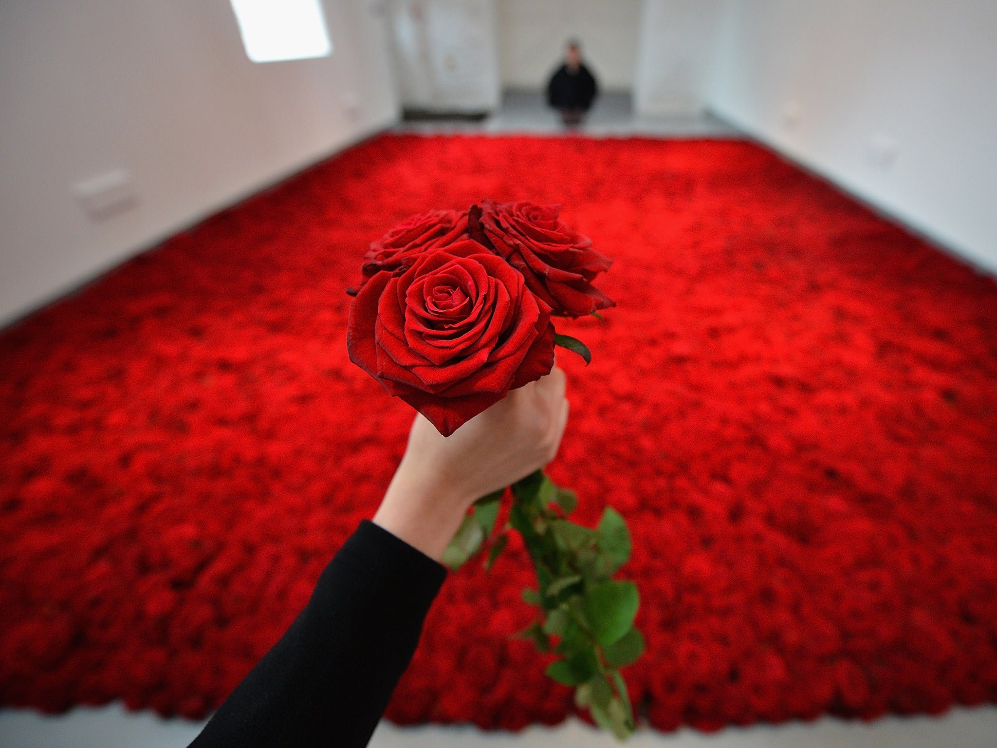 Миллион роз купить. Миллион алых роз. Цветы миллион роз. Миллион миллион миллион алых роз. Алые розы.