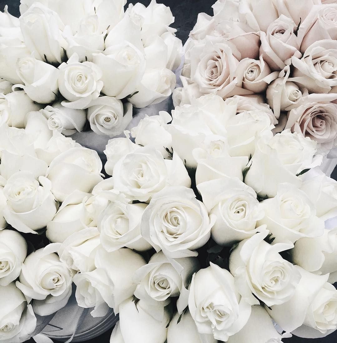 Воскресно белый. Белые розы.