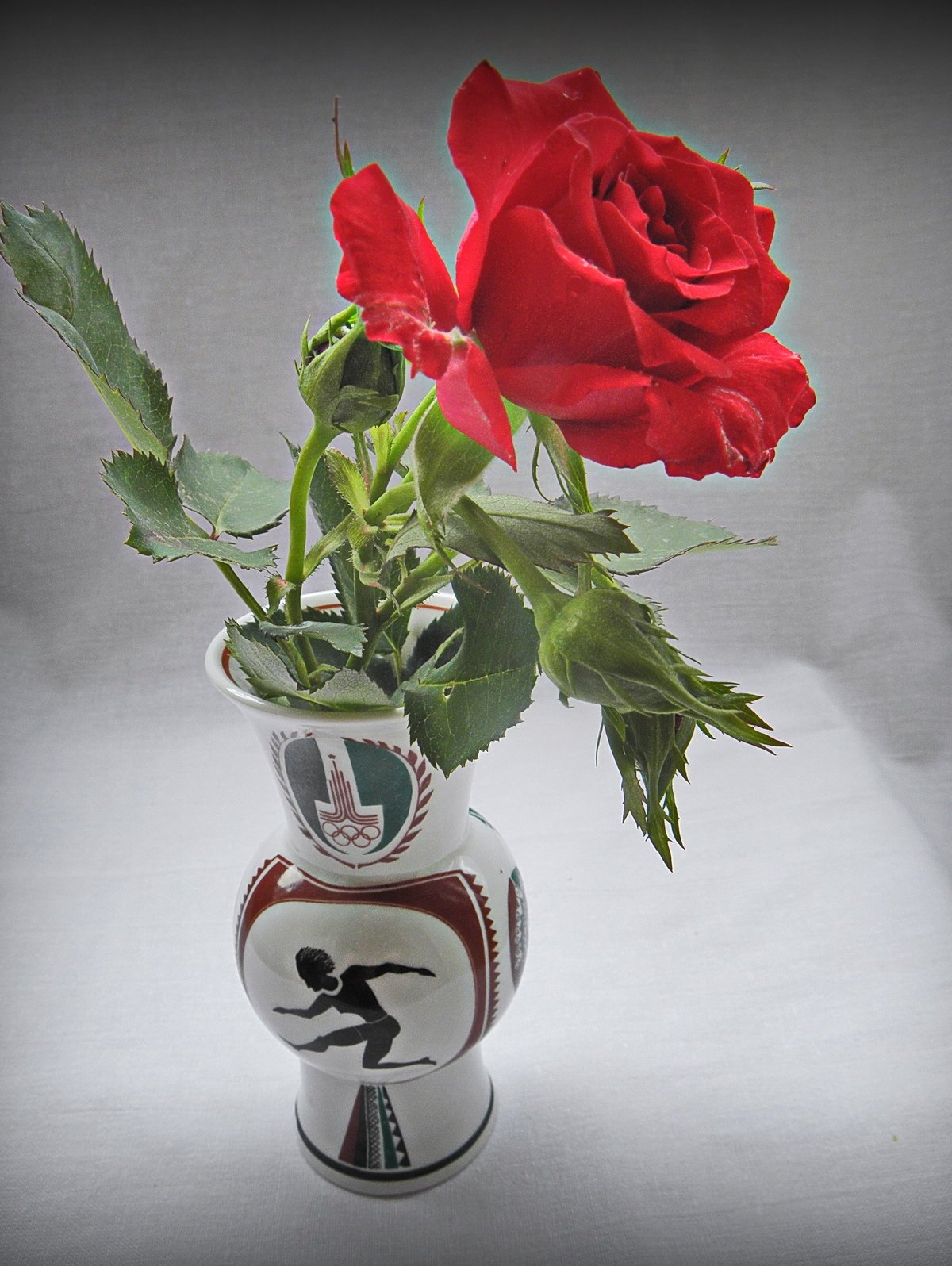 Роза ваза черри