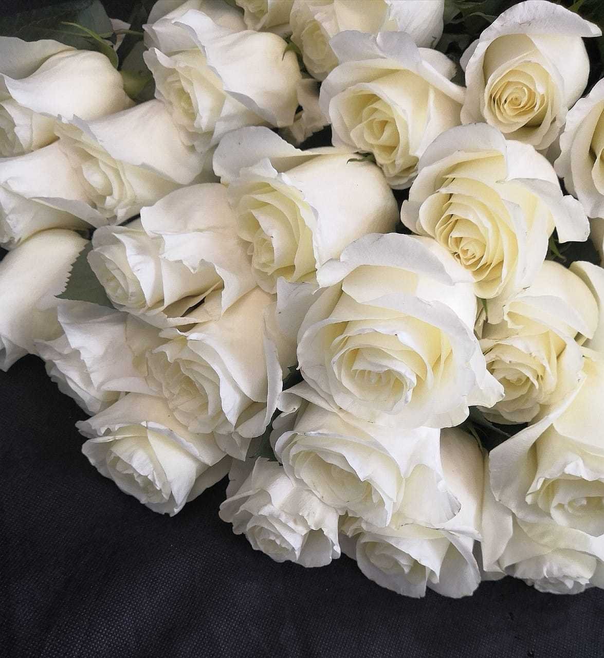 Открытки букет белых роз для женщины