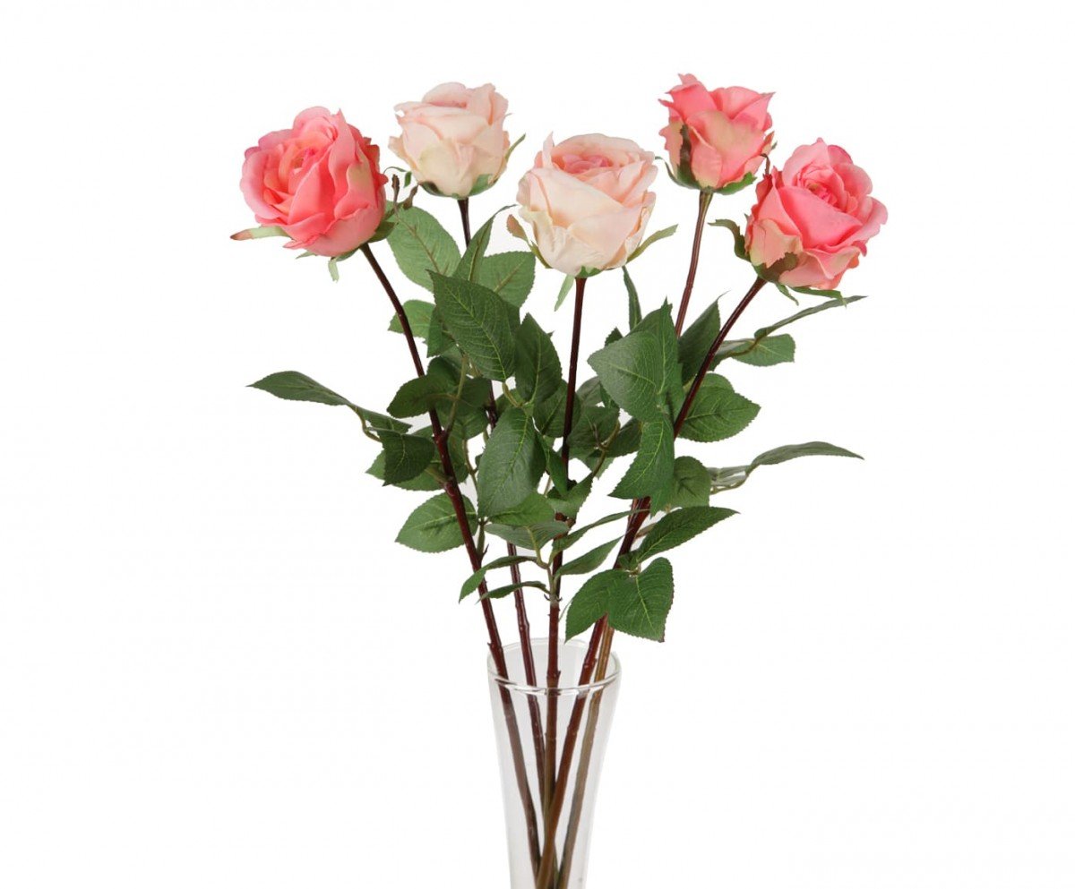 Розы пять штук. Розы на длинной ножке. 5 Роз букет. 3 Розы.