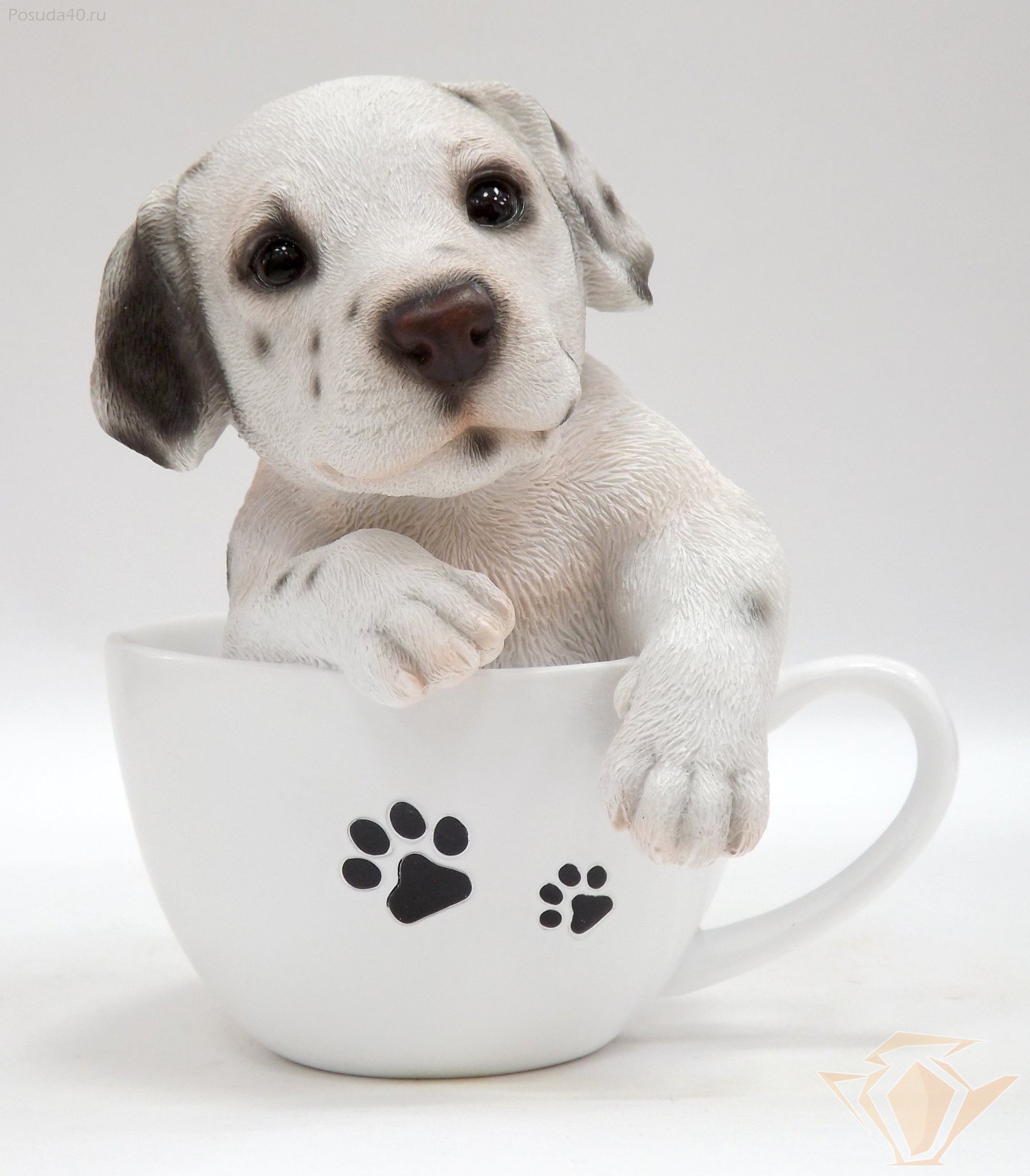 Dogs cup. Собачка в чашке. Собака в кружке. Щенок в чашке. Чашки для собак.