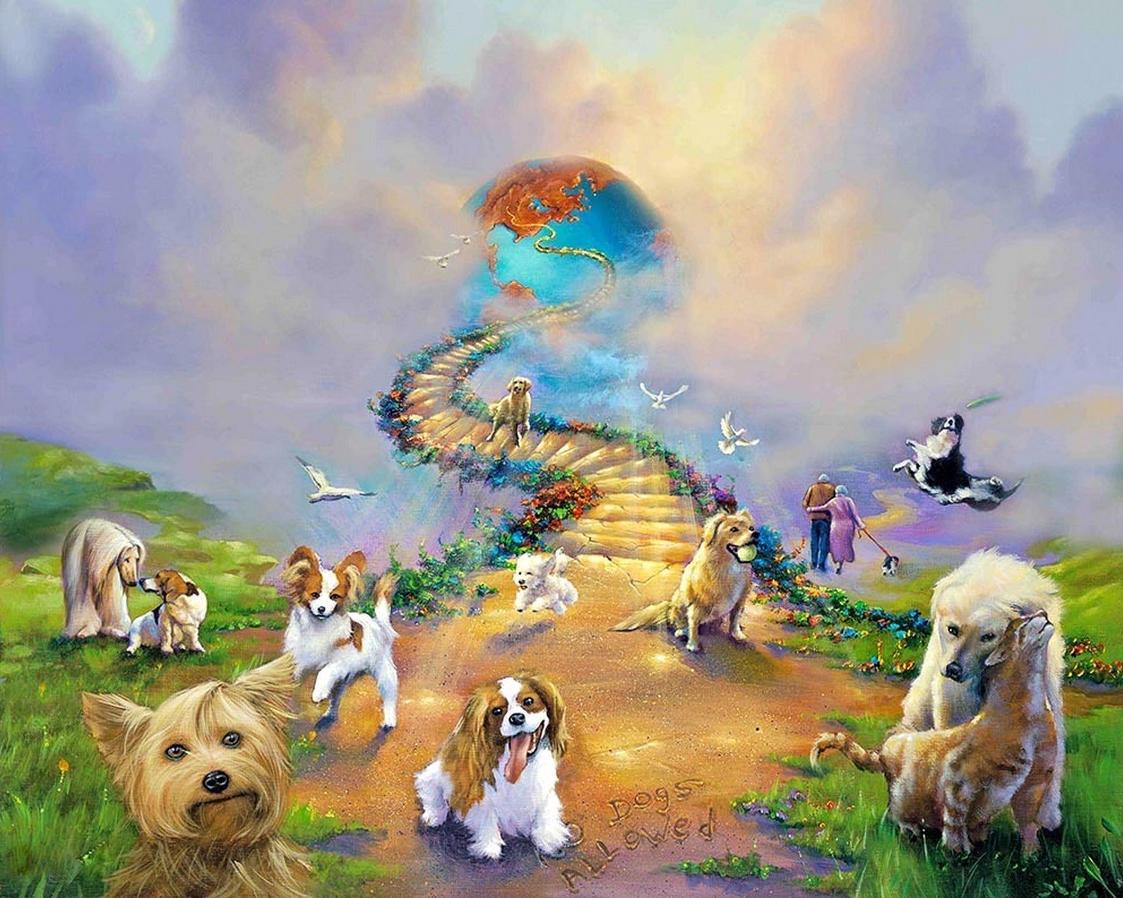 Собака и ее душа. Джим Уоррен (Jim Warren) (р.1949). Лестница в небо Джим Уоррен. Радужный мост Джим Уоррен. Собака на радуге.