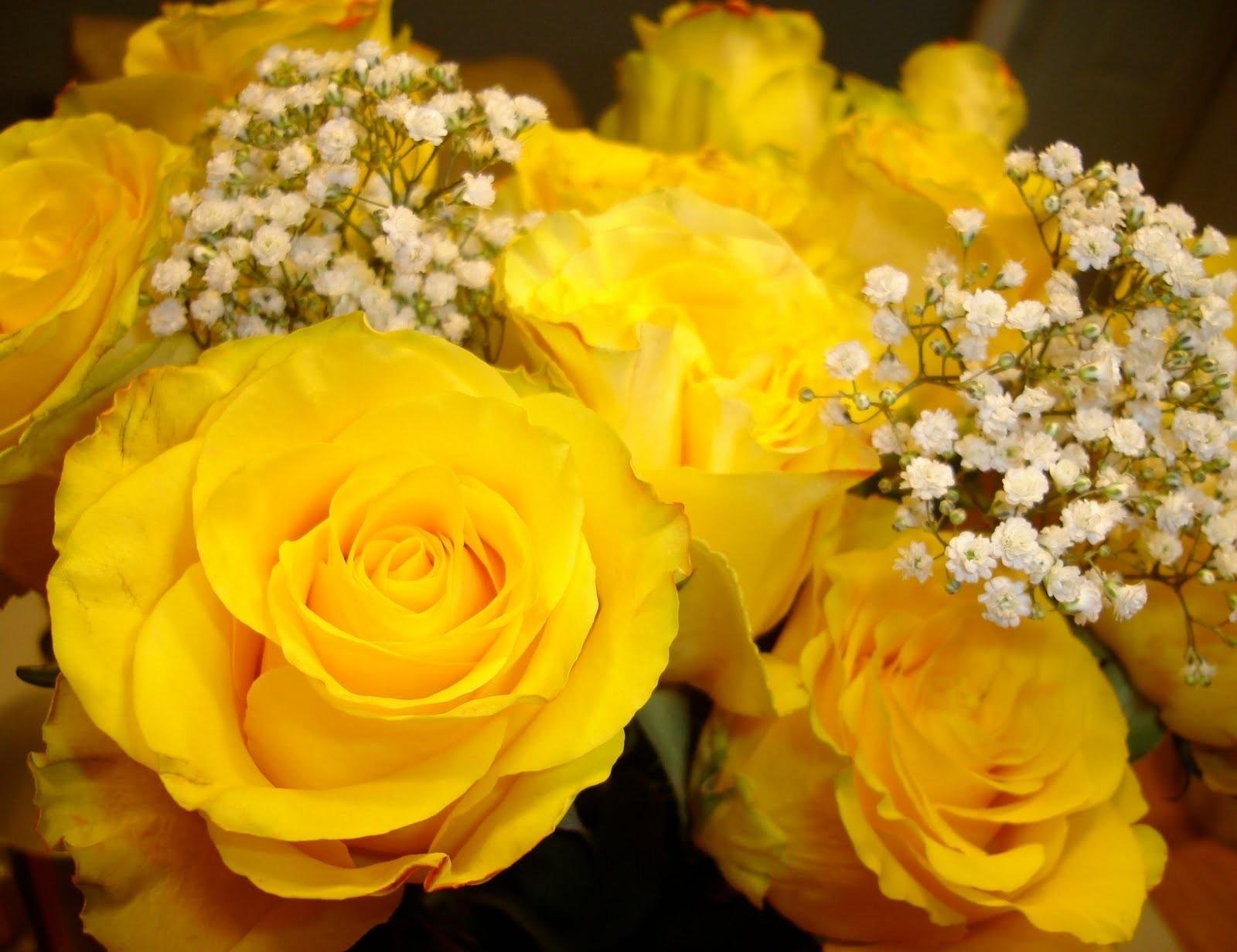 Огромный букет желтых. Желтые розы. Букет желтых роз. Букет из желтых цветов. Красивый желтый букет.
