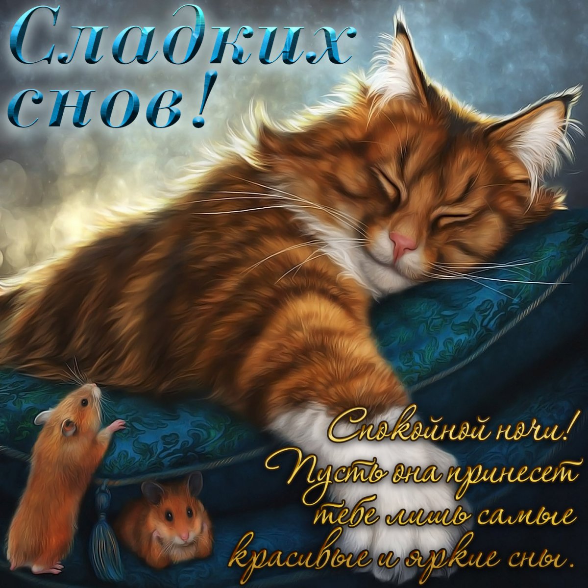 Картинки «мой ты котик» — подборка 16 открыток