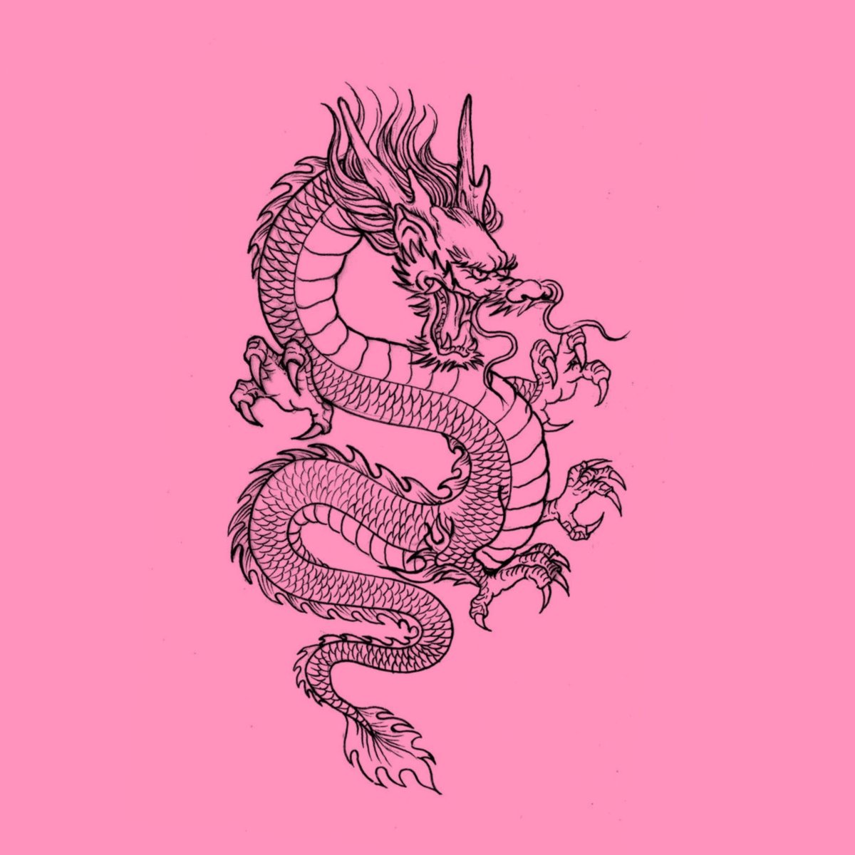 Китайский дракон Минимализм - 61 фото