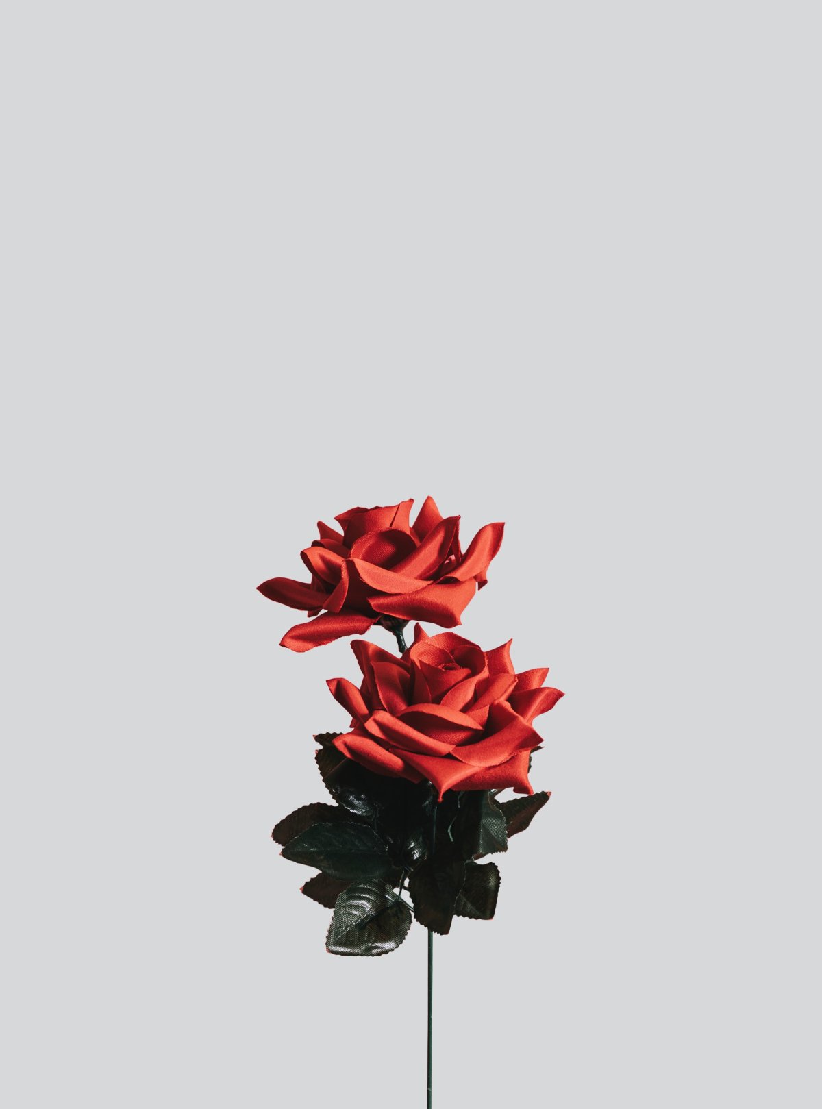 Минималистичная роза