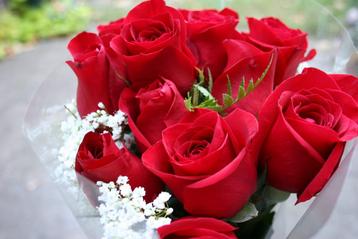 Букет роз для любимой девушки