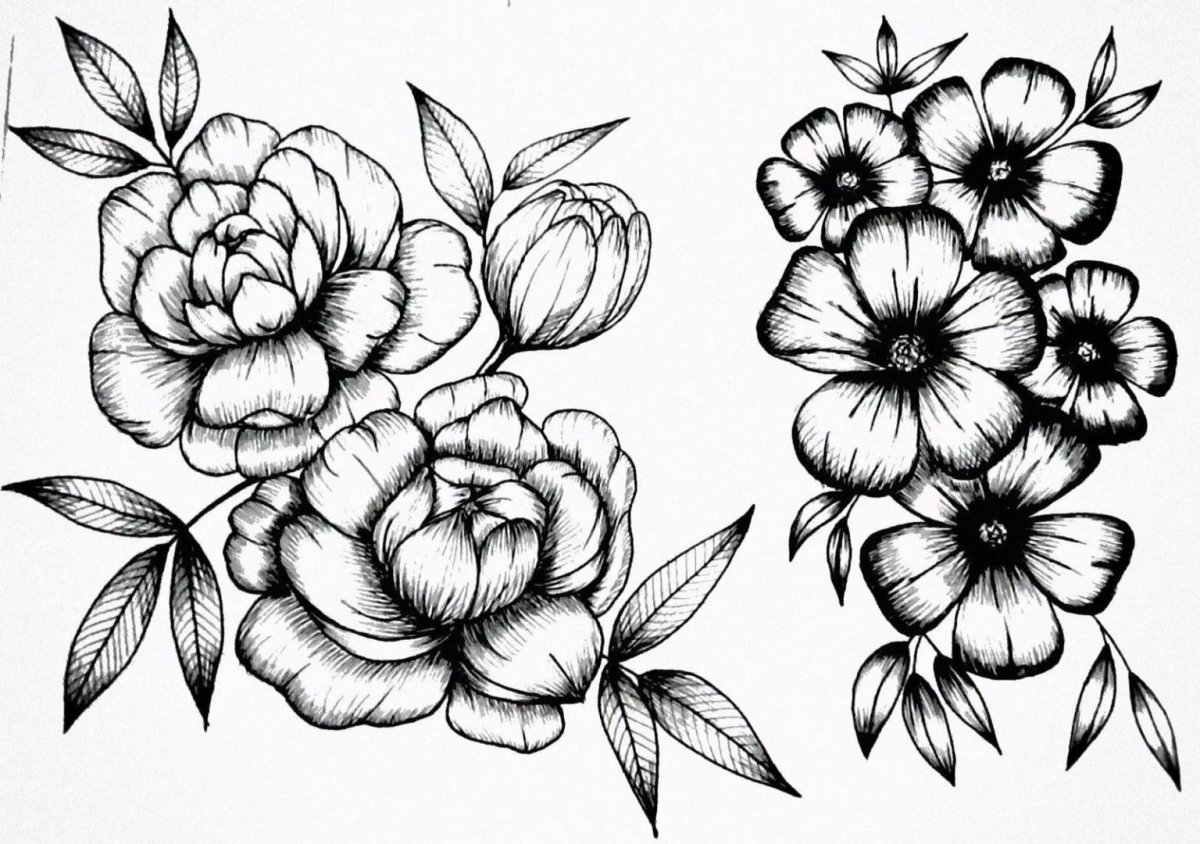 Рисунки для срисовки цветы