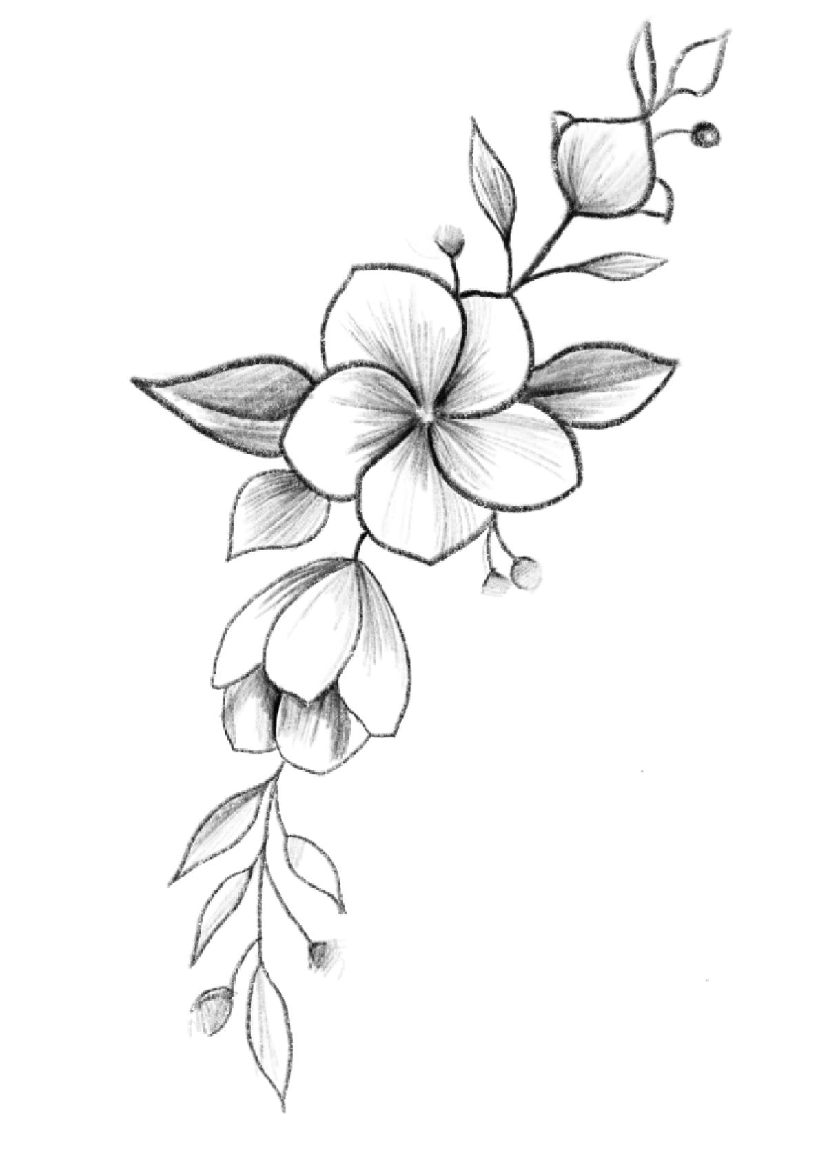 Рисунки для срисовки цветы легкие
