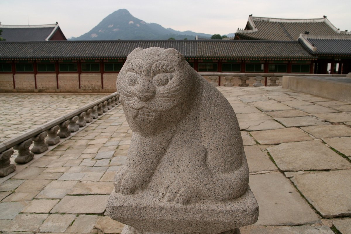 Котики в китае видео. Китайский кот. Кот китайская скульптура. Кот в Китае. Кот китаец.