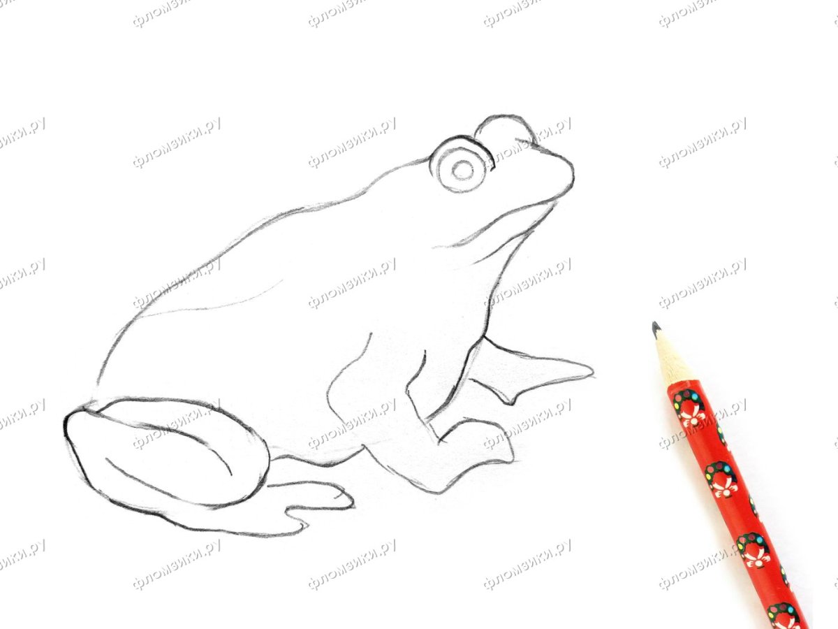 Лягушка карандашом