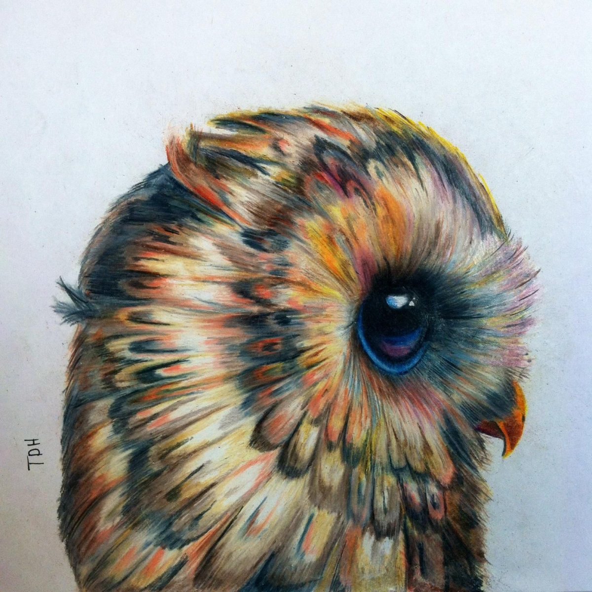 Глаза совы рисунок карандашом