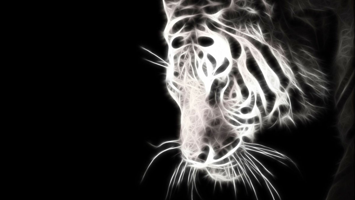 Белый тигр черно белый рисунок