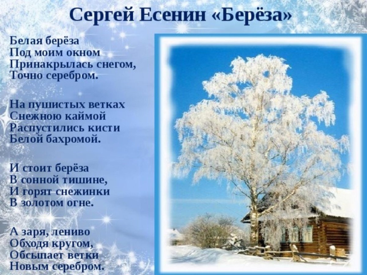 Сергей Есенин - Береза | Текст песни