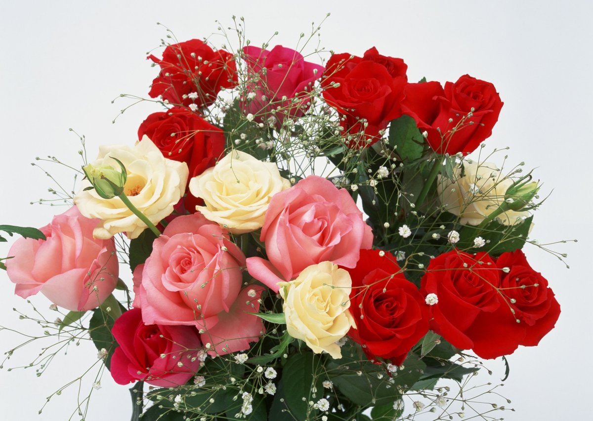 Поздравительные виде. Красивый букет. Шикарные цветы. Букет "день рождения". С днём рождения женщине букет.