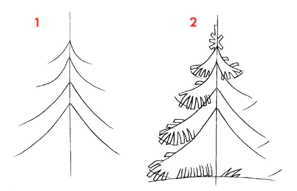 Рисунки елки для срисовки ( фото)