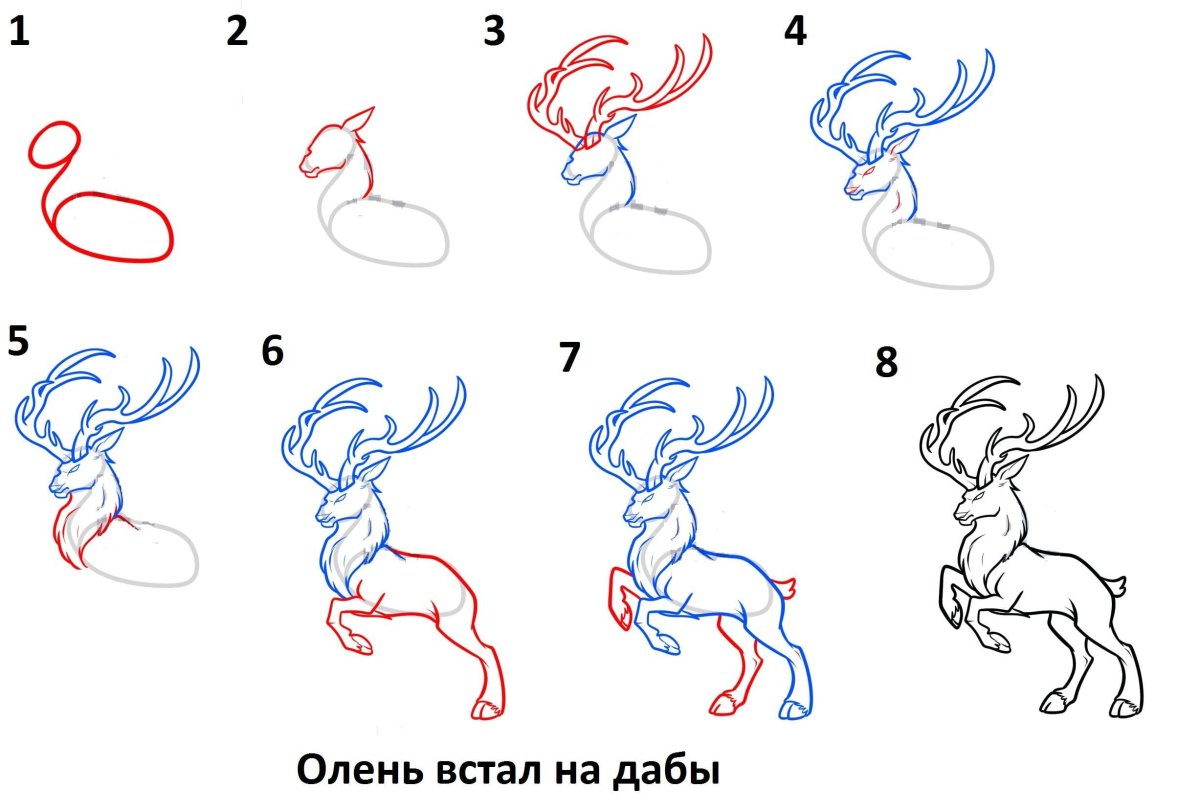 Картинки для срисовки поэтапно карандашом