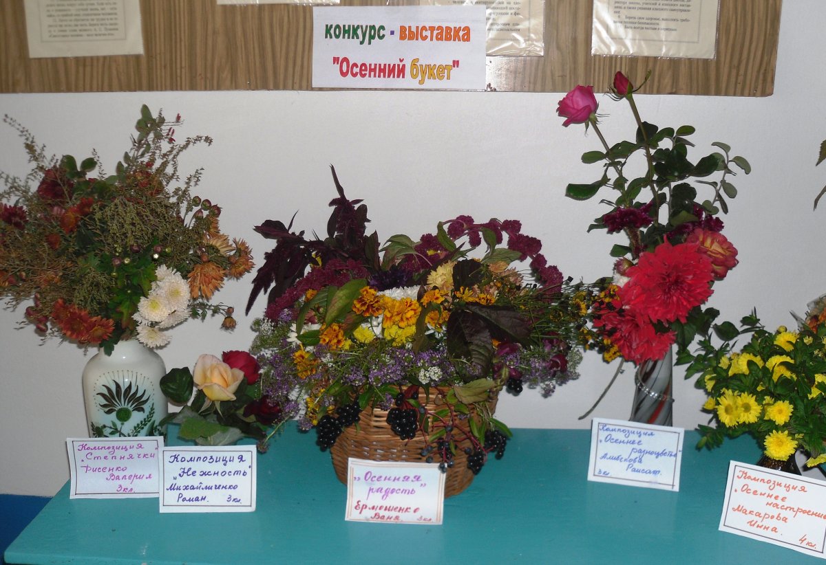 Самые красочные фестивали цветов в России и мире: иди и смотри!