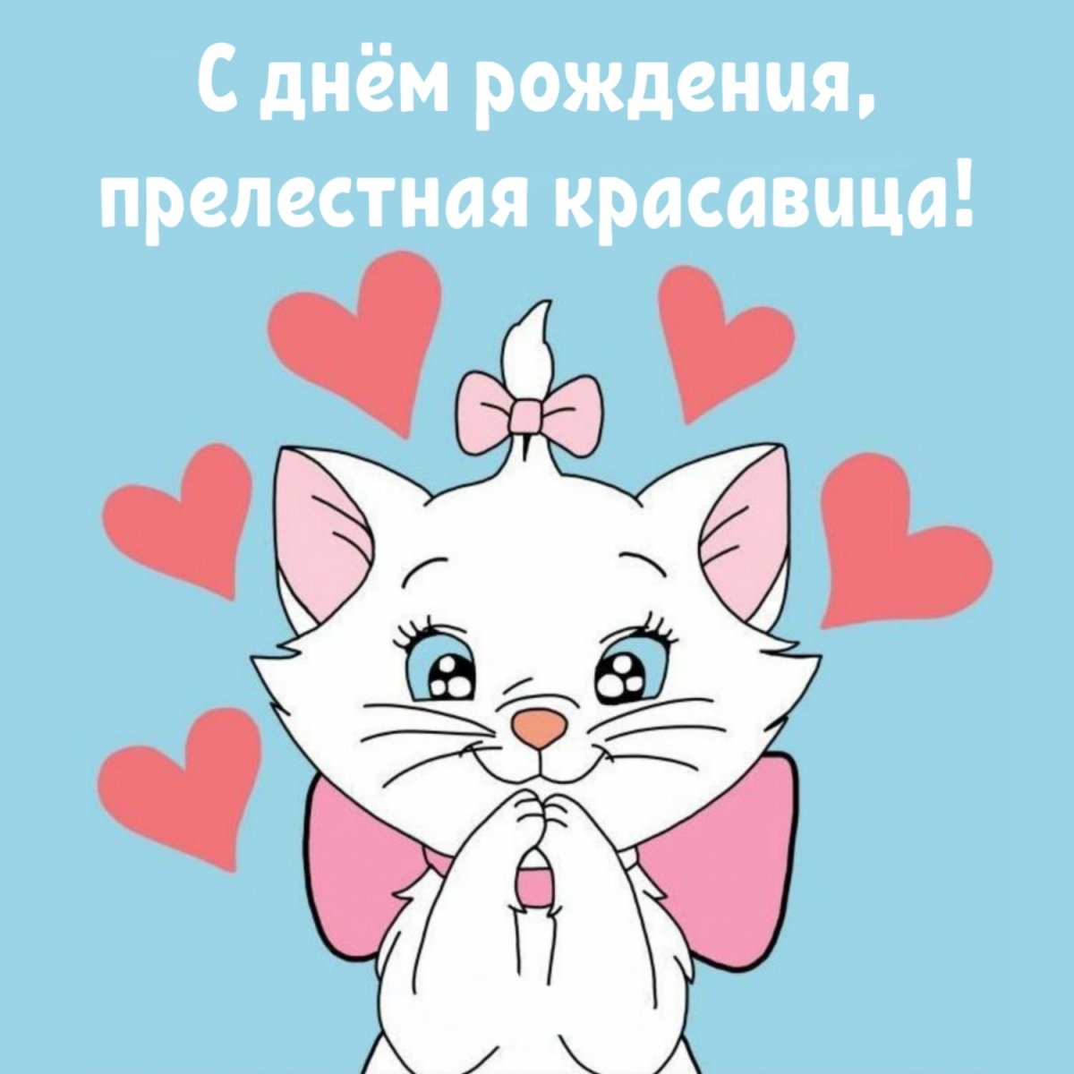 Любимый котик - 72 фото