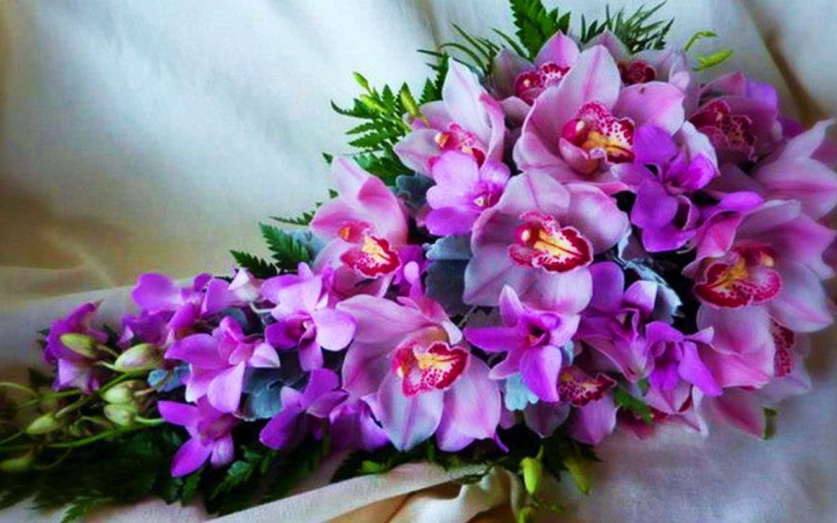 Открытки с орхидеями красивые - 73 фото