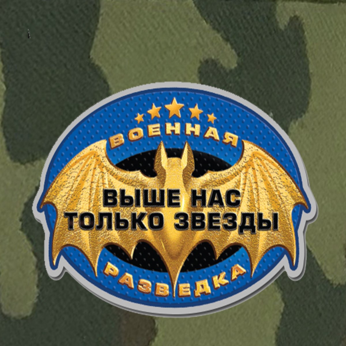 Картинка вс рф военная разведка