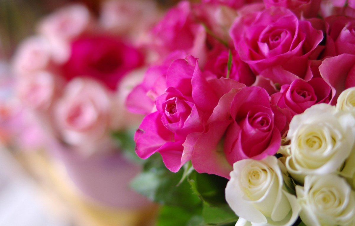 Красивый букет розовых и белых роз