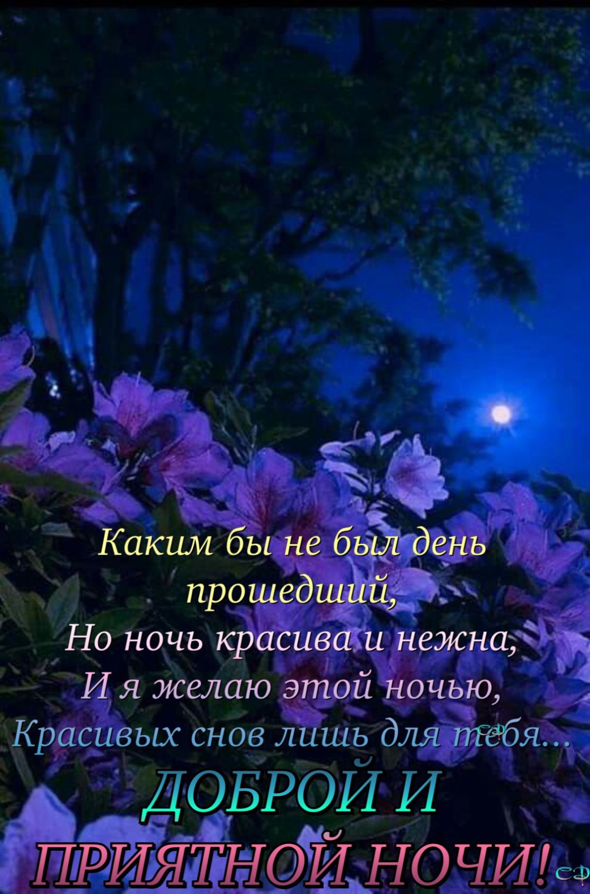 Правда ли, что лучше всего молиться ночью? И что говорят святые отцы о ночной молитве?